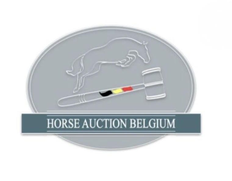 Horse Auction Belgium