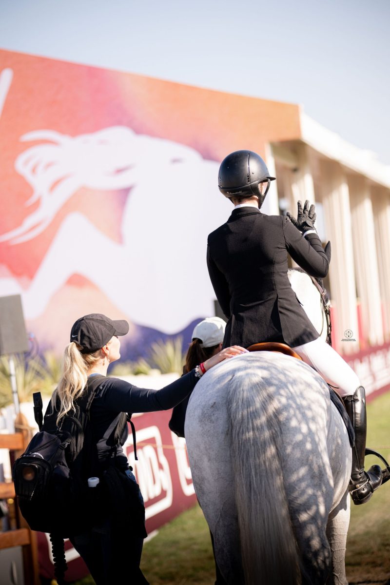 Rider on a grey horse at an event