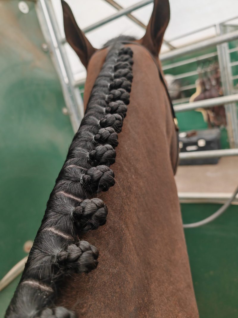 Braided horse mane