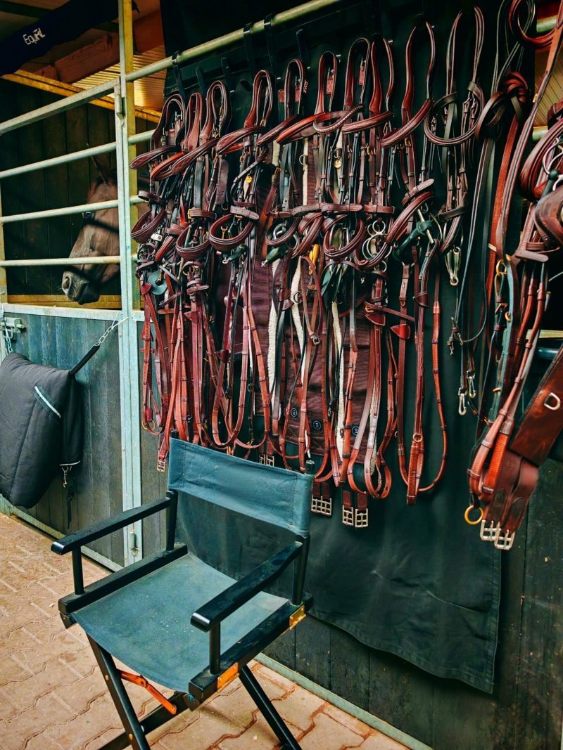 Bridles and tack in the tack room